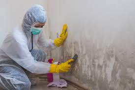 Fort Branch, IN Mold Remediation Company